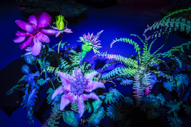 Immersion dans la supernature